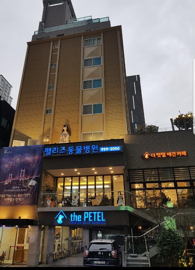 The Petel Premium Suite Пусан Экстерьер фото